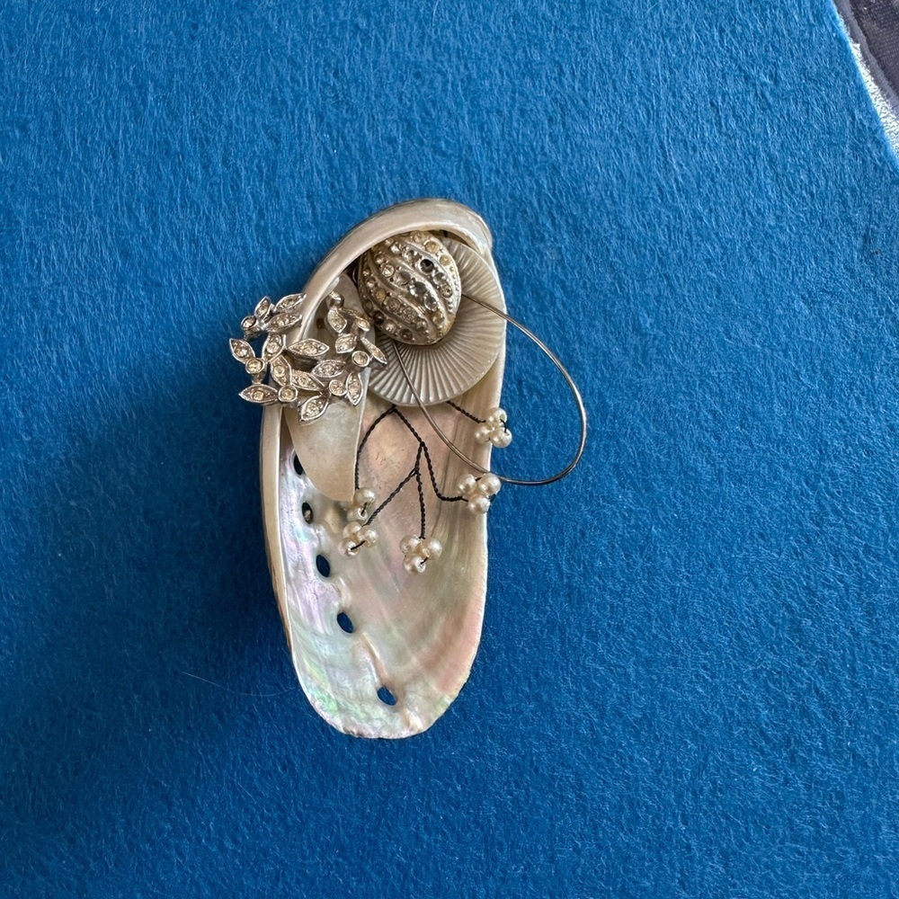 Elegant Mother of Pearl and Silver Brooch